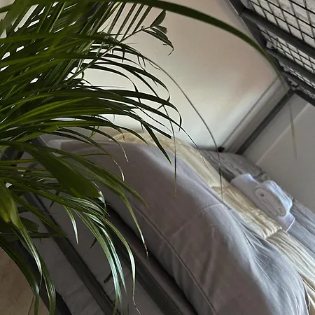 Hostel By Fenix *